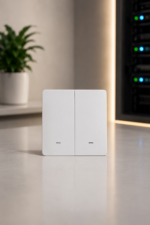 Smart-Switch-wifi-2-Port-1